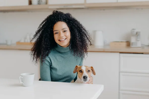 Söt ung dam med afro frisyr leker med hund, bär bekväm jumper, dricker kaffe eller te i köket, kommer att ha promenad tillsammans, glädjas bra väder utomhus. Människor, djur, fritid — Stockfoto