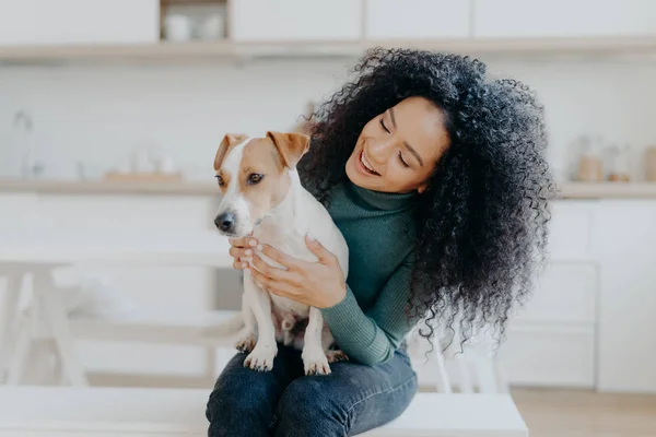 Felice proprietario femminile di jack russell terrier cane, si sente la responsabilità di prendersi cura di animale domestico, ha folti capelli ricci scuri, si siede sullo sfondo della cucina offuscata. Persone e rapporto con gli animali — Foto Stock