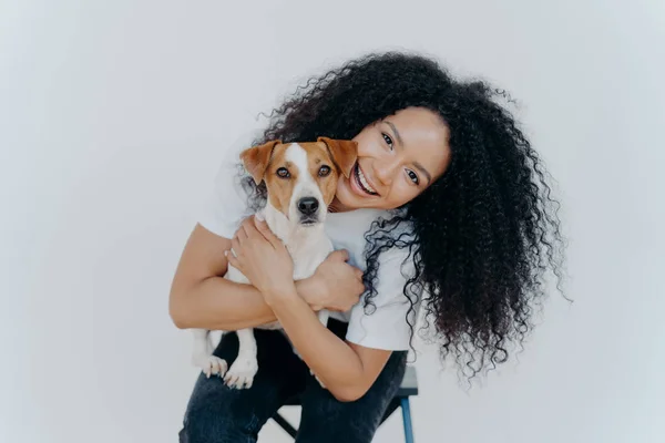 Happy curly woman tilts head, holds pedigree dog, has cheerful expression, smiles pleasantly, has curly hairstyle, wears white t shirt, isolated. Afro lady petting favourite domestic animal.
