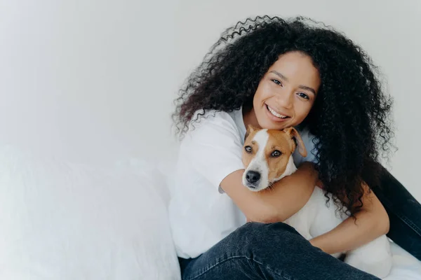 Afro-Kircut 'lu çekici genç bir kadının fotoğrafı, aşk köpeğiyle kucaklaşması, evcil hayvanla ilgilenmesi, nazikçe gülümsemesi, günlük kıyafetler giymesi, beyaz arka planda izole edilmesi, yatağa oturması, tanıtımın için yer kopyalaması.