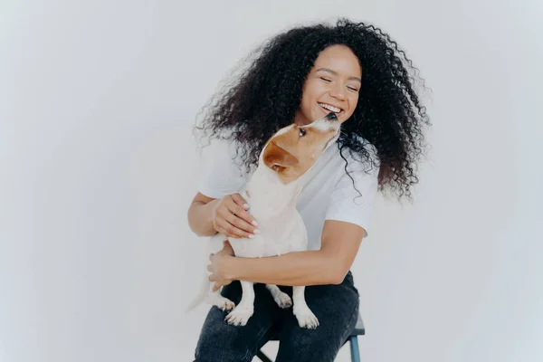 Isolerad bild av leende afro amerikansk kvinna med lockig frisyr, får kyss från favorit hund, sitter på stol mot vit vägg, bär t-shirt och jeans. Människor, djur, känslor och kärlek koncept — Stockfoto