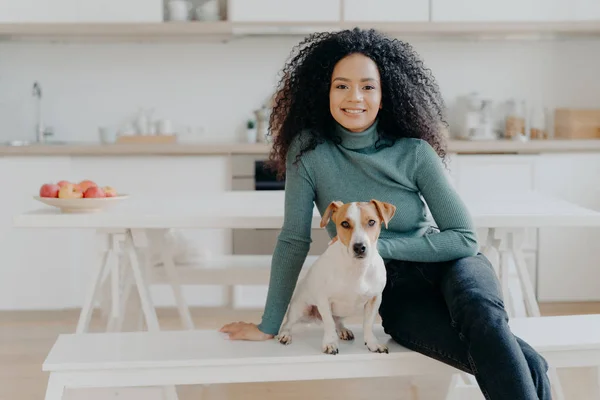 Happy housewife with Afro haircut, sits at bench with pedigree dog, have fun and look directly at camera, pose in kitchen, express good emotions, relax together. Lovely pet with owner at home — стокове фото