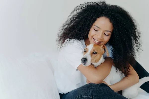Happy African American woman expresses love to dog, embraces pet, dressed in casual wear, sit on comfortable bed in bedroom, sleeps with domestic animal. Jack russell terrier with owner in morning — Stockfoto