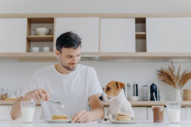 Mutlu adamın lezzetli krepleri çatalla yediği, sütü camdan içtiği, beyaz tişört giydiği, Jack Russell terrier köpeğinin yanında poz verdiği, ev sahibi ve mutfak arka planıyla lezzetli bir kahvaltı yaptığı fotoğraf.