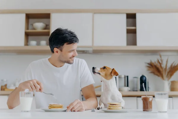Yakışıklı esmer erkek, evcil hayvanına sevinçle bakıyor, kahvaltıda tatlı tatlı yiyor, hafta sonunun keyfini çıkarıyor, modern apartmanın mutfağındaki evcil hayvan pozuyla iyi bir ilişkisi var. İnsanlar, beslenme, hayvanlar.