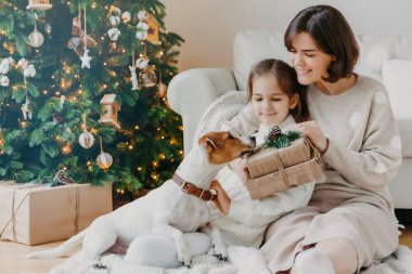 Sevecen mutlu anne ve küçük kız hediye kutularını açıyor, yere poz veriyor, soylu köpek yakınlarda duruyor, arka planda süslü yeni yıl ağacı var. Aile üyeleri Noel hediyeleriyle evde poz veriyorlar.