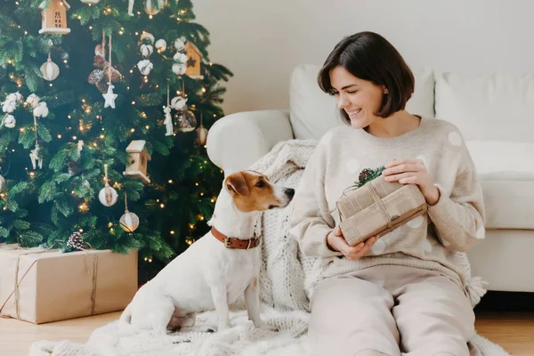 Χαρούμενη μελαχρινή δείχνει γυναίκα έλαβε δώρα στο αγαπημένο σκυλί, ποζάρουν μαζί στο πάτωμα στο άνετο δωμάτιο, έχουν εορταστική διάθεση, να προετοιμαστούν για τα Χριστούγεννα ή την Πρωτοχρονιά, να απολαύσουν το χειμώνα. Έννοια Hoilday — Φωτογραφία Αρχείου