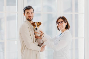 Vetarinerlik ve hayvan sağlığı konsepti. Mutlu gülümseyen kadın veteriner köpek sağlığını önemser, Jack Russell Terrier 'ı muayene eder, müşteriyle konuşur, evcil hayvanlar için sağlık merkezinde çalışır.