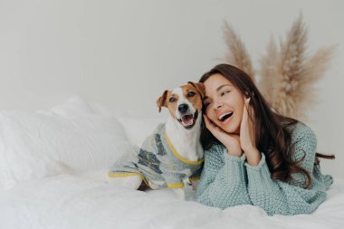 İnsanlar ve hayvanlar konsepti. Neşeli, genç bir kadın köpeğe aşkını ifade eder, evcil hayvanla vakit geçirir, birlikte yatağa uzanır, hayvanlara şefkatle bakar, gerçek sadık arkadaşından sıkılmaz.