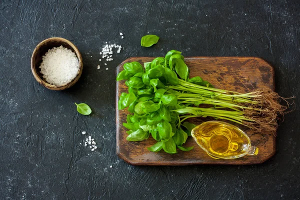 Fresh basil with roots — Stock Photo, Image