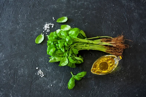 Fresh basil with roots — Stock Photo, Image