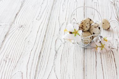 Sepette bıldırcın yumurtası