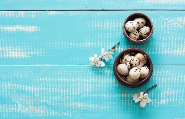 Huevos de codorniz en macetas de barro —  Fotos de Stock