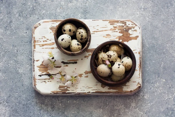 Křepelčí vejce v hliněných hrncích — Stock fotografie