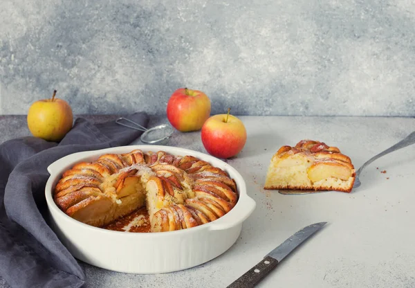 Torta Mele Fatta Casa Uno Sfondo Pietra Grigia Vicino Copia — Foto Stock