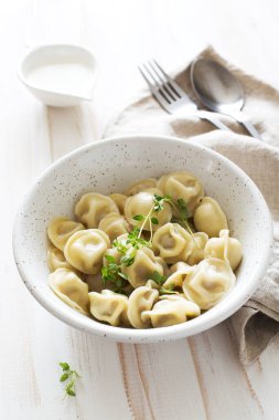 Beyaz bir ahşap arka planda beyaz tabakta ev yapımı etli börek yakın plan.