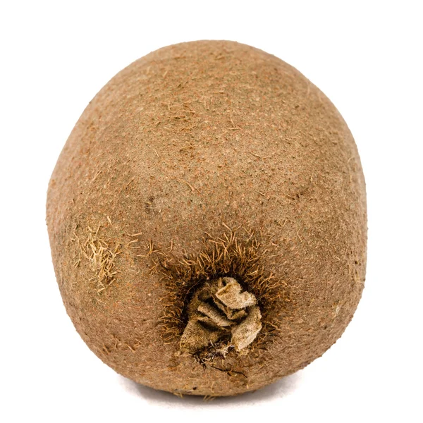 Een kiwi-vrucht, geïsoleerd op witte achtergrond — Stockfoto