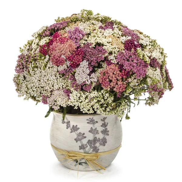 Букет цветов ярро в вазе, изолированные на белом фоне — стоковое фото
