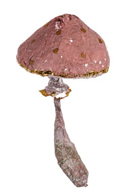 Güzel oyuncak mantar şeklinde izole üzerinde beyaz backgro