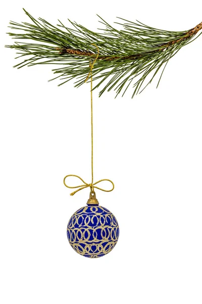 Schöne Weihnachtskugel, die an einem Zweig der Kiefer hängt, isoliert — Stockfoto