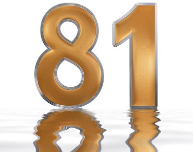 Rakamı su yüzeyine yansıyan 81, seksen bir, izole