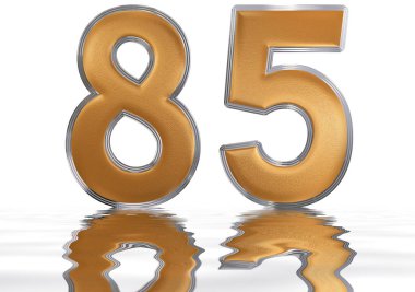 Rakamı 85, Seksen beş, su yüzeyine yansıyan izole