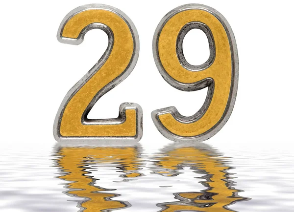 Cijfer 29, negenentwintig, weerspiegeld op het wateroppervlak, isoleren — Stockfoto