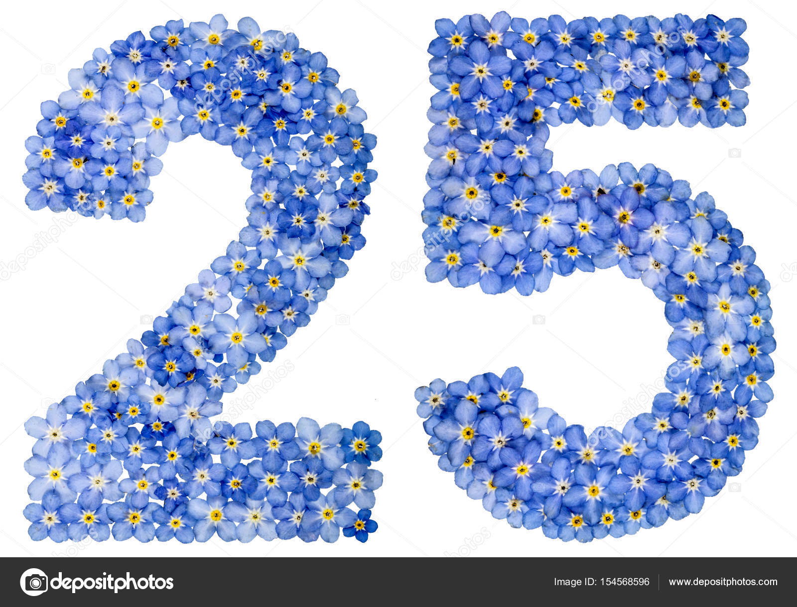 Arabic Numeral 25 Twenty Five From Blue Forget Me Not Flowers Stock Photo By C Kostyuchenko 154568596