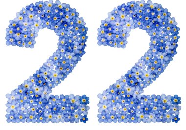 Arabic numeral 22, twenty two, from blue forget-me-not flowers clipart