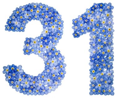 Arapça rakamı 31, otuz bir, mavi unutma çiçek üzerinden