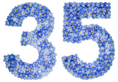 Arapça rakamı 35, otuz beş, mavi unutma çiçek üzerinden