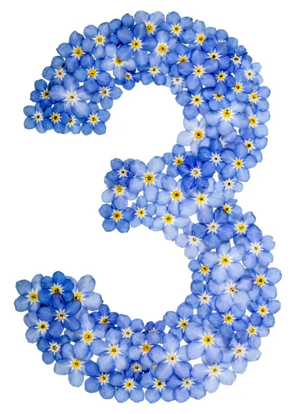 Números arábigos 3, 3,, de flores azules no me olvides — Foto de Stock