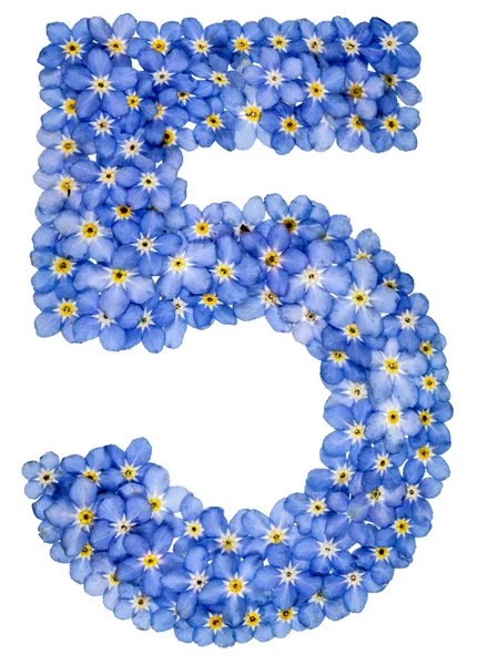 Арабські цифри 5, п'ять, з синім незабудки не квіти — стокове фото