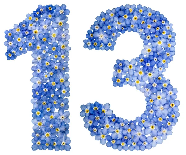 Cifra arabă 13, treisprezece, din flori albastre uită-mă-nu — Fotografie, imagine de stoc