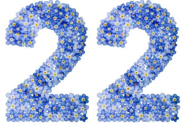 Numeral arábico 22, vinte e dois, de flores azul esquecer-me-não — Fotografia de Stock