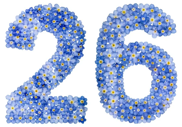 Arabic numeral 26, twenty six, from blue forget-me-not flowers — Stock Photo, Image