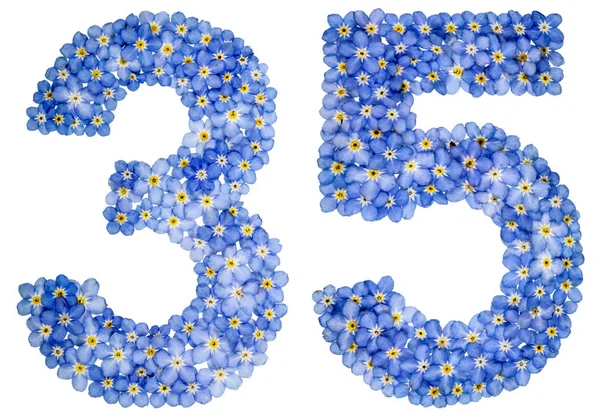 Arapça rakamı 35, otuz beş, mavi unutma çiçek üzerinden
