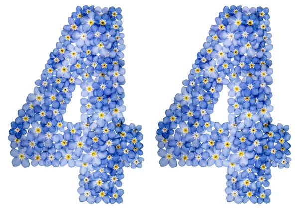 Arabische Ziffer 44, vierundvierzig, aus blauen Vergissmeinnicht-Blumen — Stockfoto