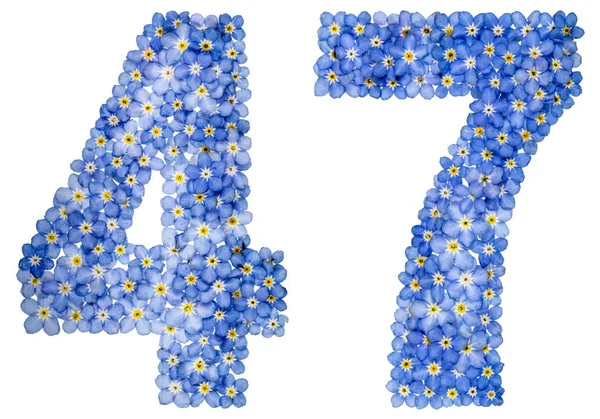 Numeral arábico 47, quarenta e sete, a partir de azul esquecer-me-não flores — Fotografia de Stock