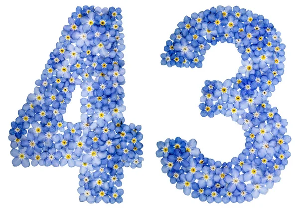 青いワスレナグサの花からアラビア数字 43、40 3 — ストック写真