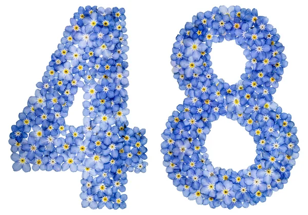 Arapça rakamı 48, kırk sekiz, mavi unutma çiçek üzerinden — Stok fotoğraf