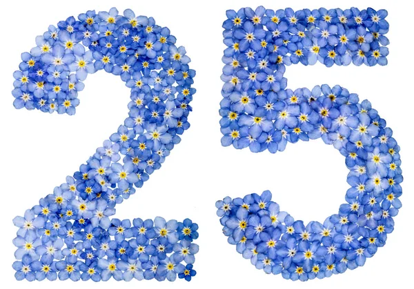 Arabic numeral 25, twenty five, from blue forget-me-not flowers — Stock Photo, Image