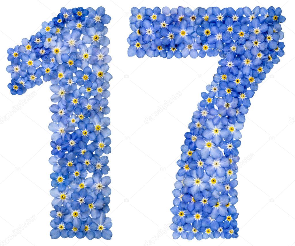 Arabic numeral 17, seventeen, from blue forget-me-not flowers