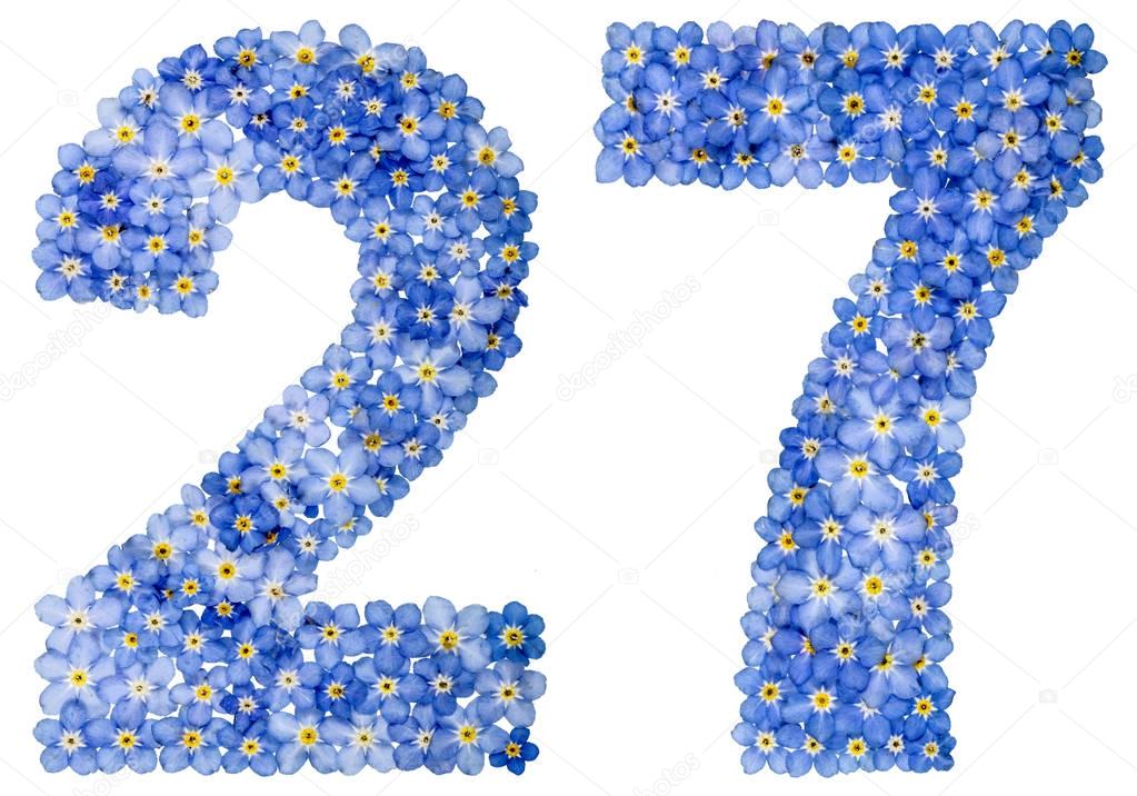 Arabic numeral 27, twenty seven, from blue forget-me-not flowers