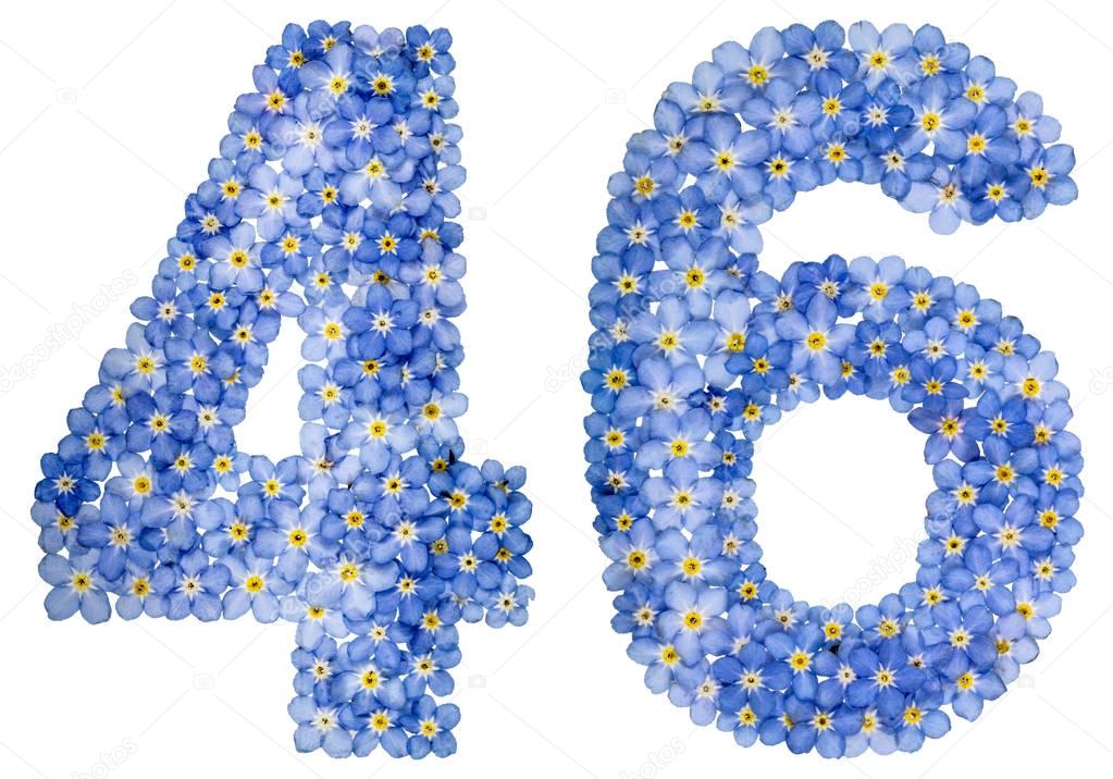 Arabic numeral 46, forty six, from blue forget-me-not flowers