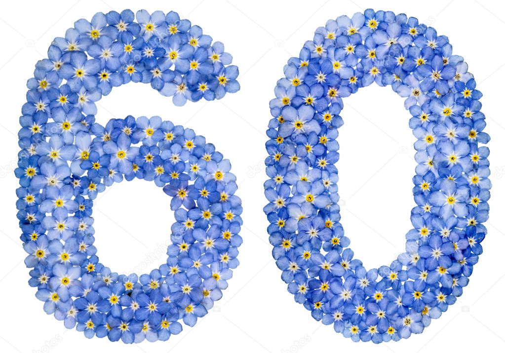 Arabic numeral 60, sixty, from blue forget-me-not flowers