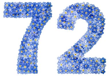 Arapça rakamı 72, yetmiş iki, mavi unutma çiçek üzerinden