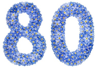Arapça sayı 80, mavi unutma çiçek üzerinden seksen