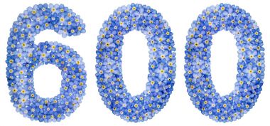 Arapça rakamı 600, altı yüz, mavi unutma çiçek üzerinden