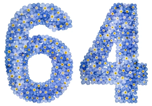 Арабская цифра 64, шестьдесят четыре, из голубых цветов "забудьте меня" — стоковое фото
